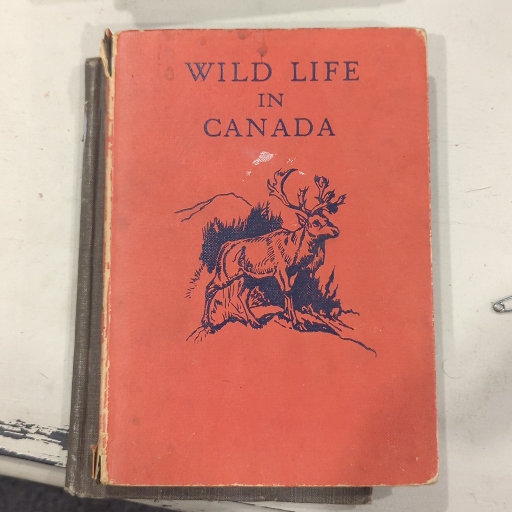 1950 "Wildlife In Canada" By C. Bernard Rutley